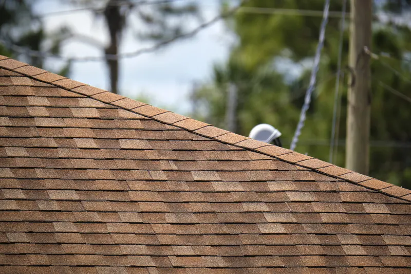 Close view of architectural asphalt roofing shingles