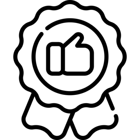 Roof inspection recommendation icon